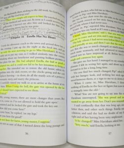 Great ExpectationsBy Charles Dickens قصة “توقعات عظيمة ” للمؤلف تشارلز دكينز باللغة الإنجليزية
